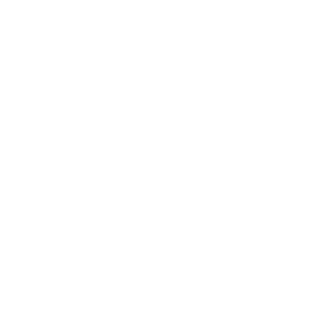 KidneyTrip